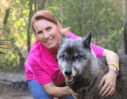 Wolfdog Left at Kill Shelter Gets a Second Chance